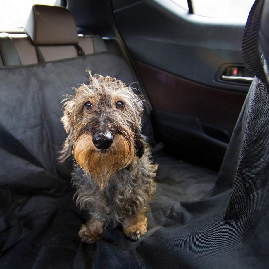 B2X  Hundedecke Auto 