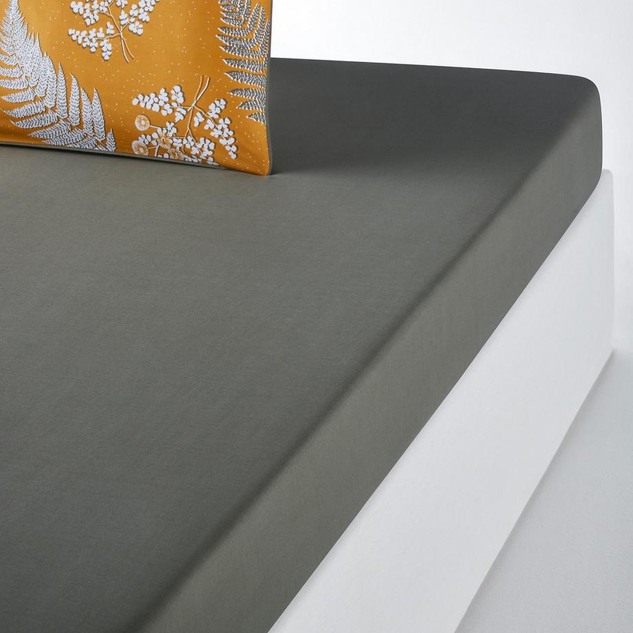 La Redoute Intérieurs Lenzuolo con angoli Fougère  