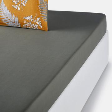 Fixleintuch Fougère