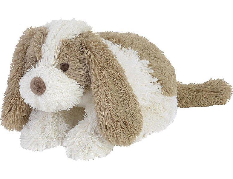 Image of Hund David Nr. 1