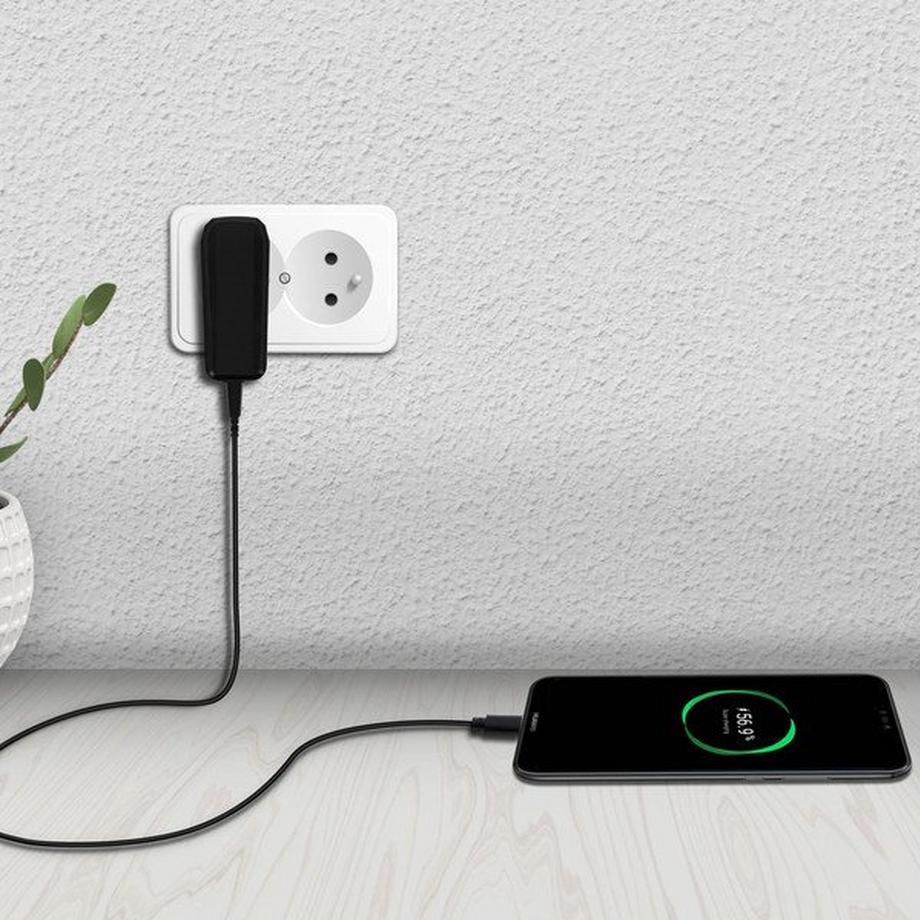 BLUE STAR  Bluestar 2A Ladegerät + USB-C Kabel 