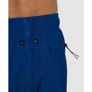 arena Evo Ao All-Over Print Boardshorts  