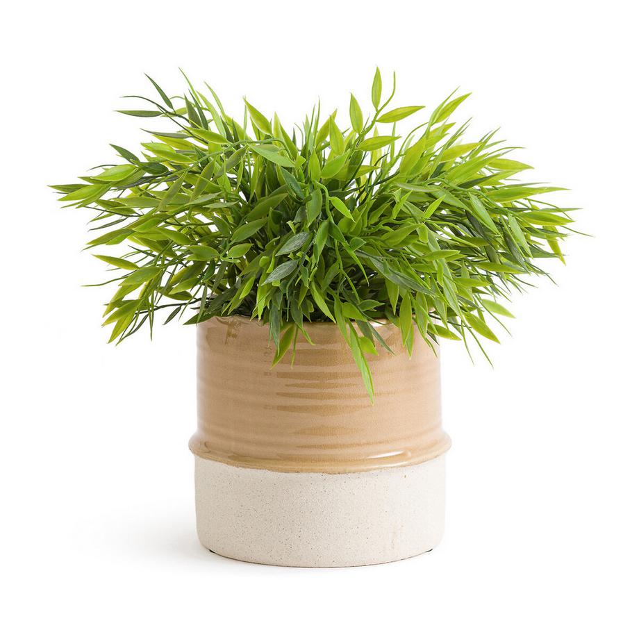 La Redoute Intérieurs Cache-pot en céramique émaillée Ø15 cm  