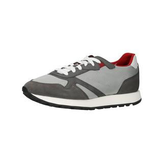 GEOX  Sneaker 