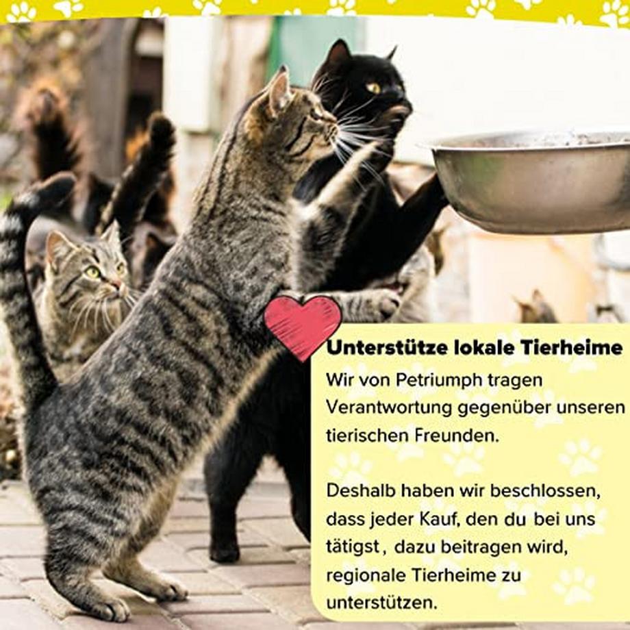 Alopini  Kletterwand Katzen Universalgröße | 3er Set Katzentreppe Echtholz | Katzenkletterwand | 