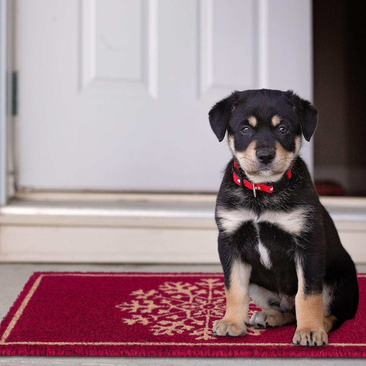 B2X Zerbino in cocco "Fiocco di neve"  