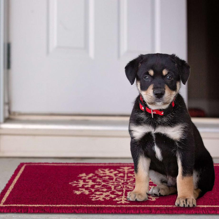 B2X Kokosfußmatte „Schneeflocke“  