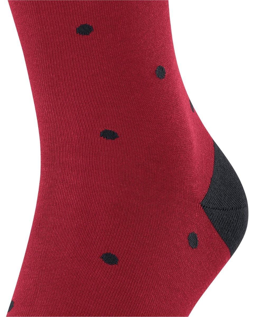 FALKE  FALKE DOT-39-42 