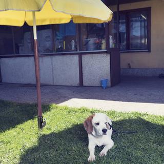 B2X Bodenhülse für Sonnenschirm  