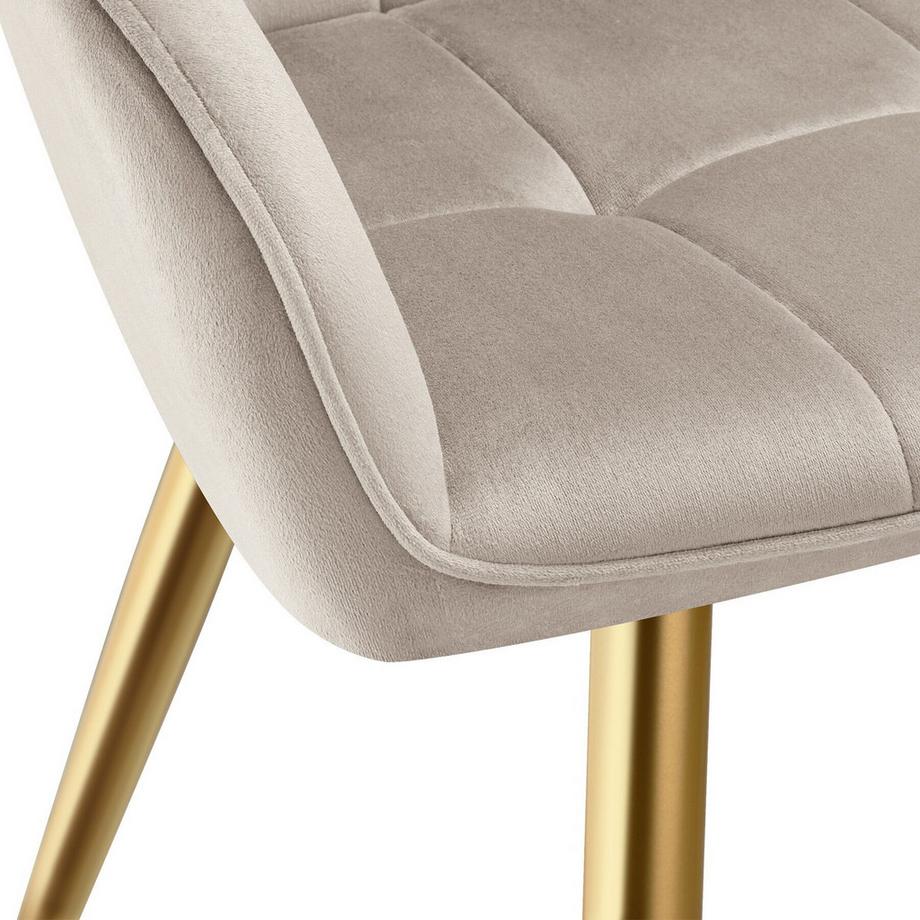 Tectake Esszimmerstuhl Marilyn gepolstert, in Samtoptik, gesteppt durchgehende Lehne  