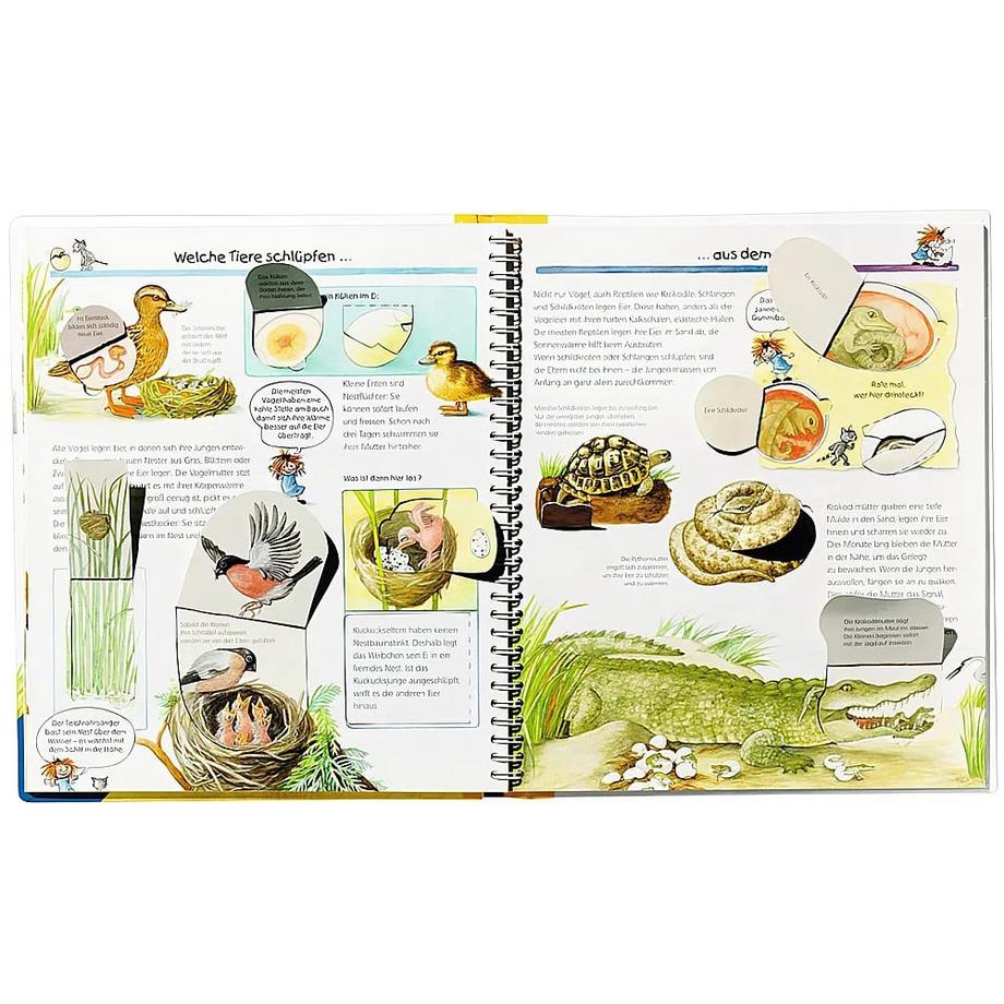 Wieso? Weshalb? Warum?, Band 33: Tiere und ihre Kinder Rübel, Doris; Rübel, Doris (Illustrationen) Gebundene Ausgabe 