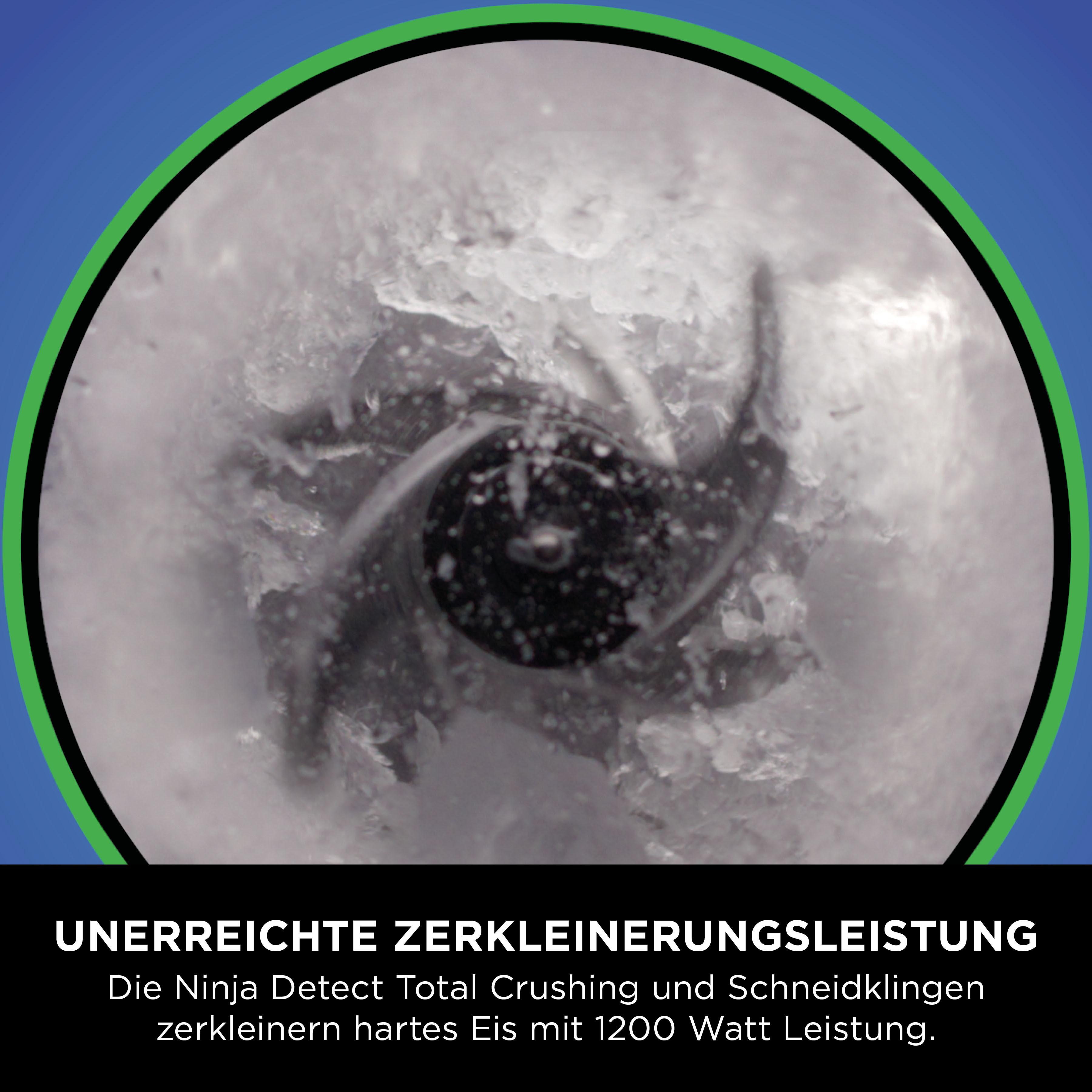 Ninja TB301CH Rileva il Mixer di Potenza Pro  