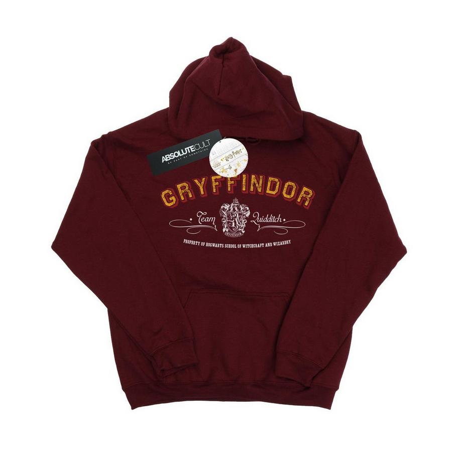 Sweat à capuche GRYFFINDOR QUIDDITCH