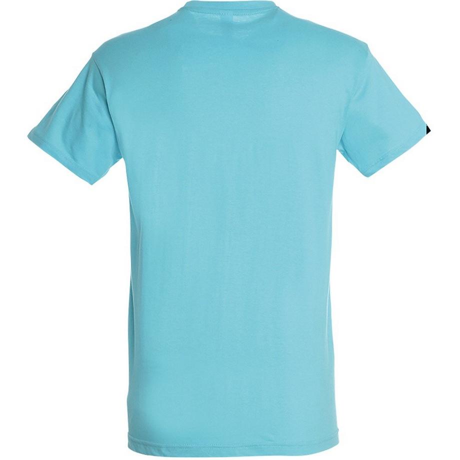 SOLS Regent Kurzarm T-Shirt  