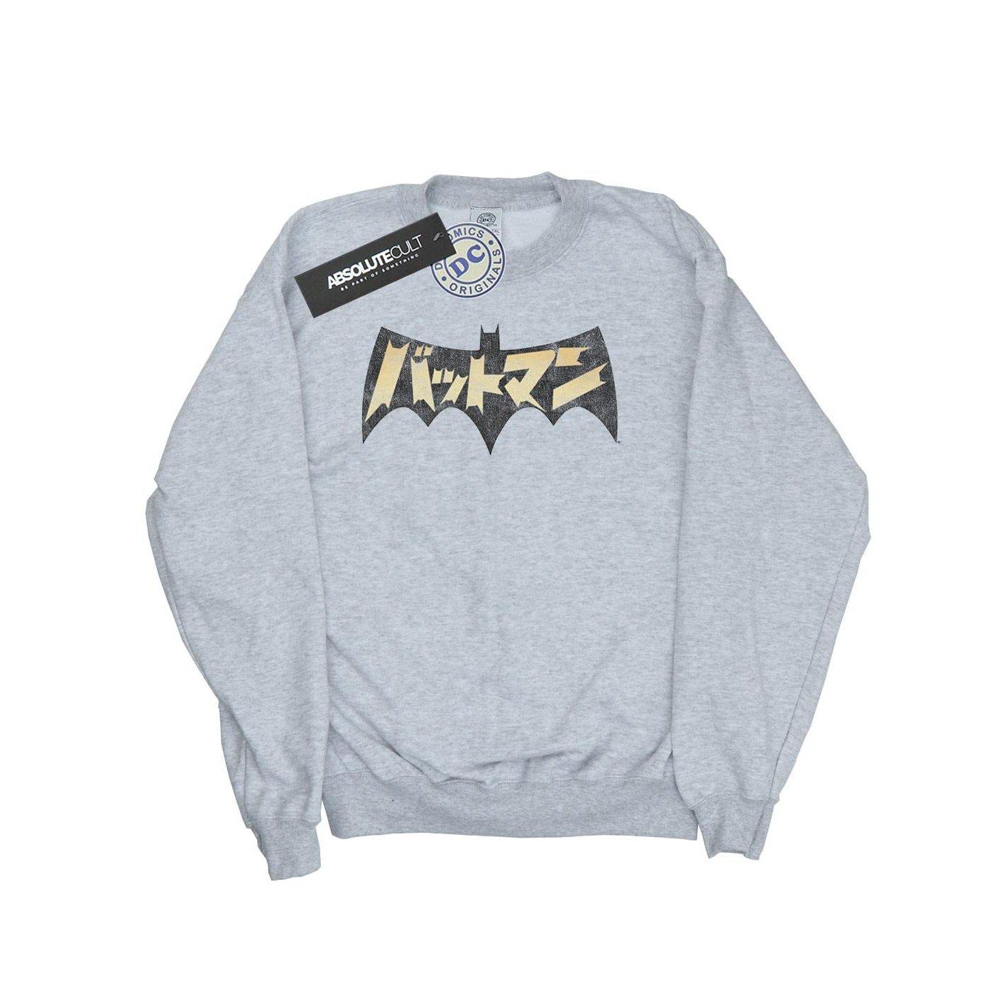Image of Batman International Logo Sweatshirt Mädchen Grau 128