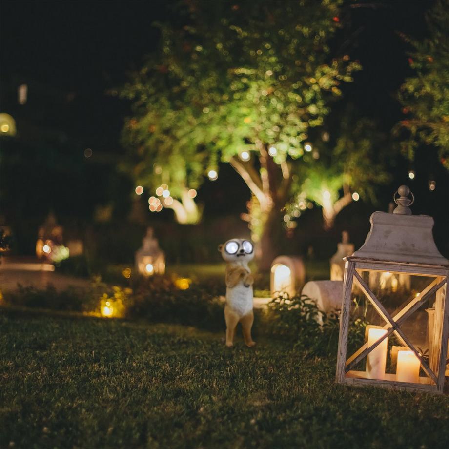 B2X  Gartenfigur Erdmännchen mit Sonnenaugen 