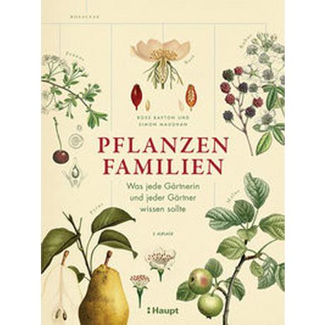 Pflanzenfamilien Bayton, Ross; Maughan, Simon; Krabbe, Wiebke (Übersetzung) Copertina rigida 