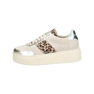 STEVE MADDEN  Sneaker SM11003414 