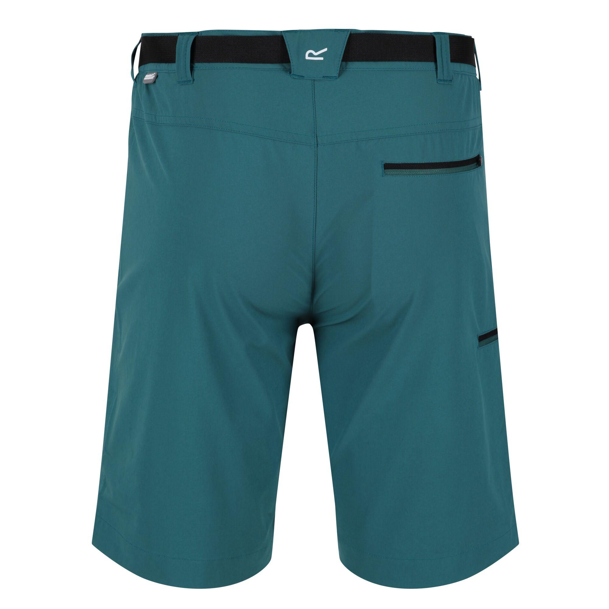 Regatta  Short XERT 