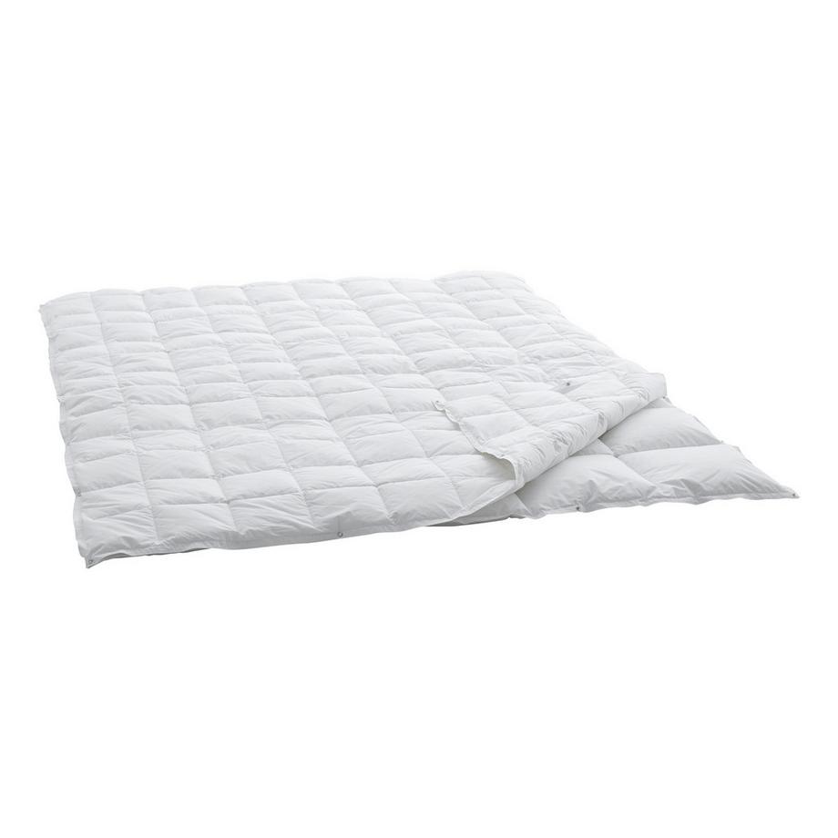 Swiss Dream Caro 4-Saisons Basic 90 Duvet  