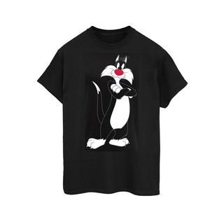 LOONEY TUNES  Tshirt 