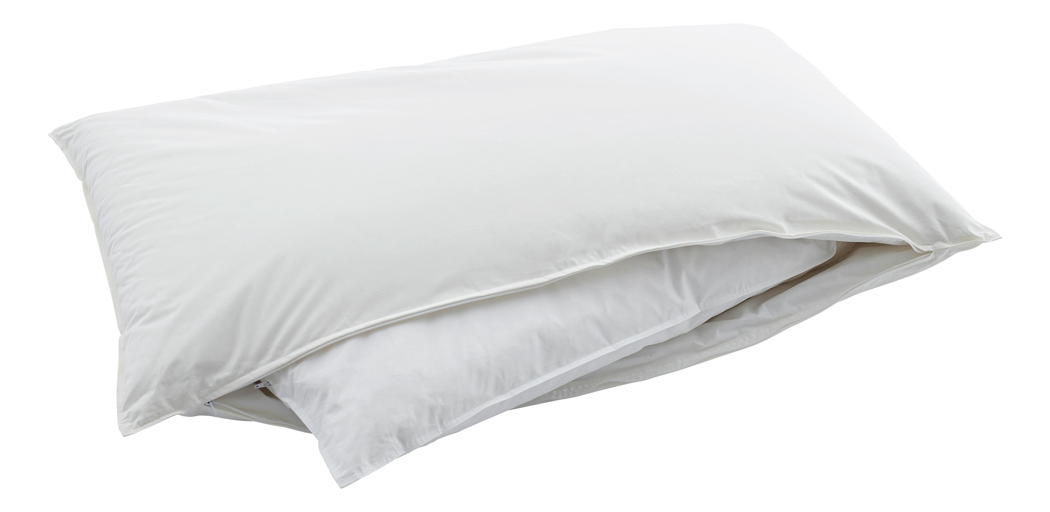 Image of Kopfkissen Piuma Pillow Basic 90 Kopfkissen Piuma Pillow Basic 90