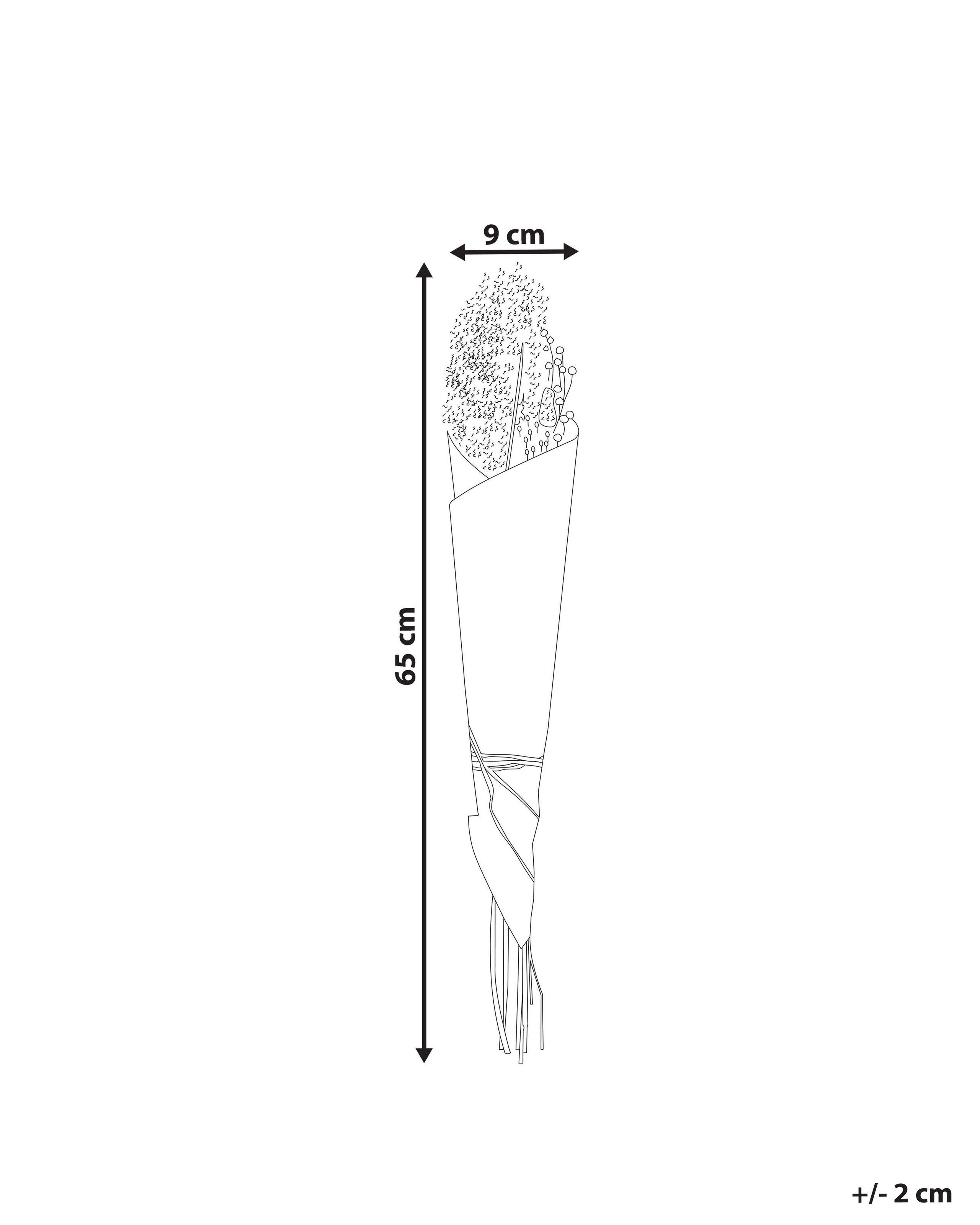 Beliani  Bouquet de fleurs séchées en Fleurs séchées Boho BRUNETE 