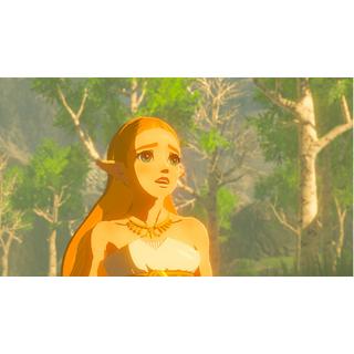 Nintendo  The Legend of Zelda: Breath of the Wild 
