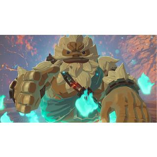 Nintendo  The Legend of Zelda: Breath of the Wild 
