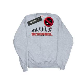 MARVEL  Evolution Sweatshirt 