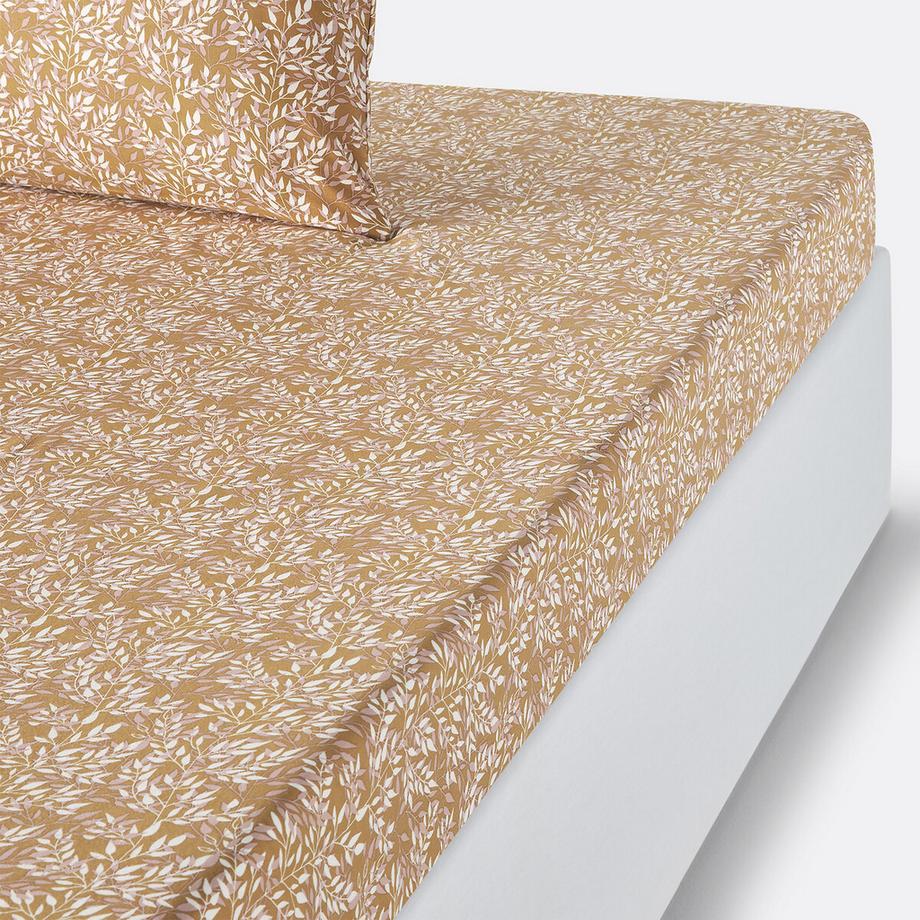 Drap housse percale de coton bonnet 30 cm