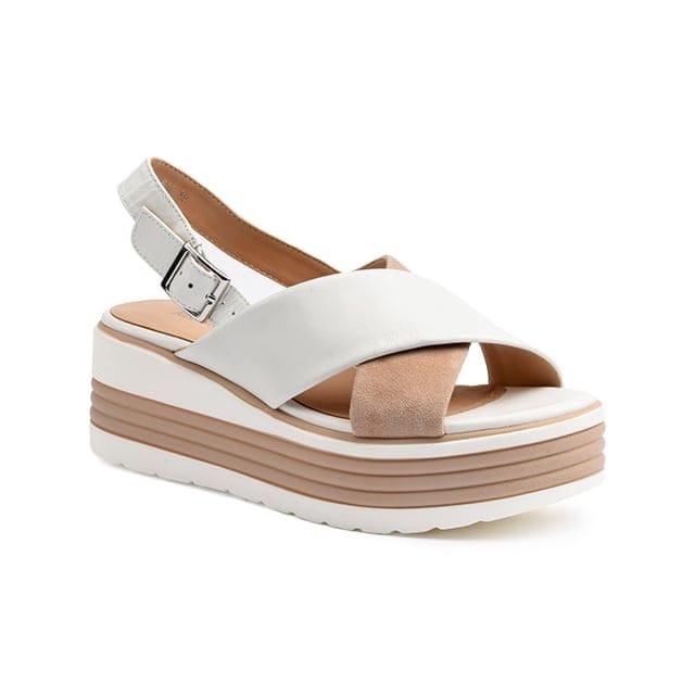 Image of Sheyla 04 Unisex Multicolor 38