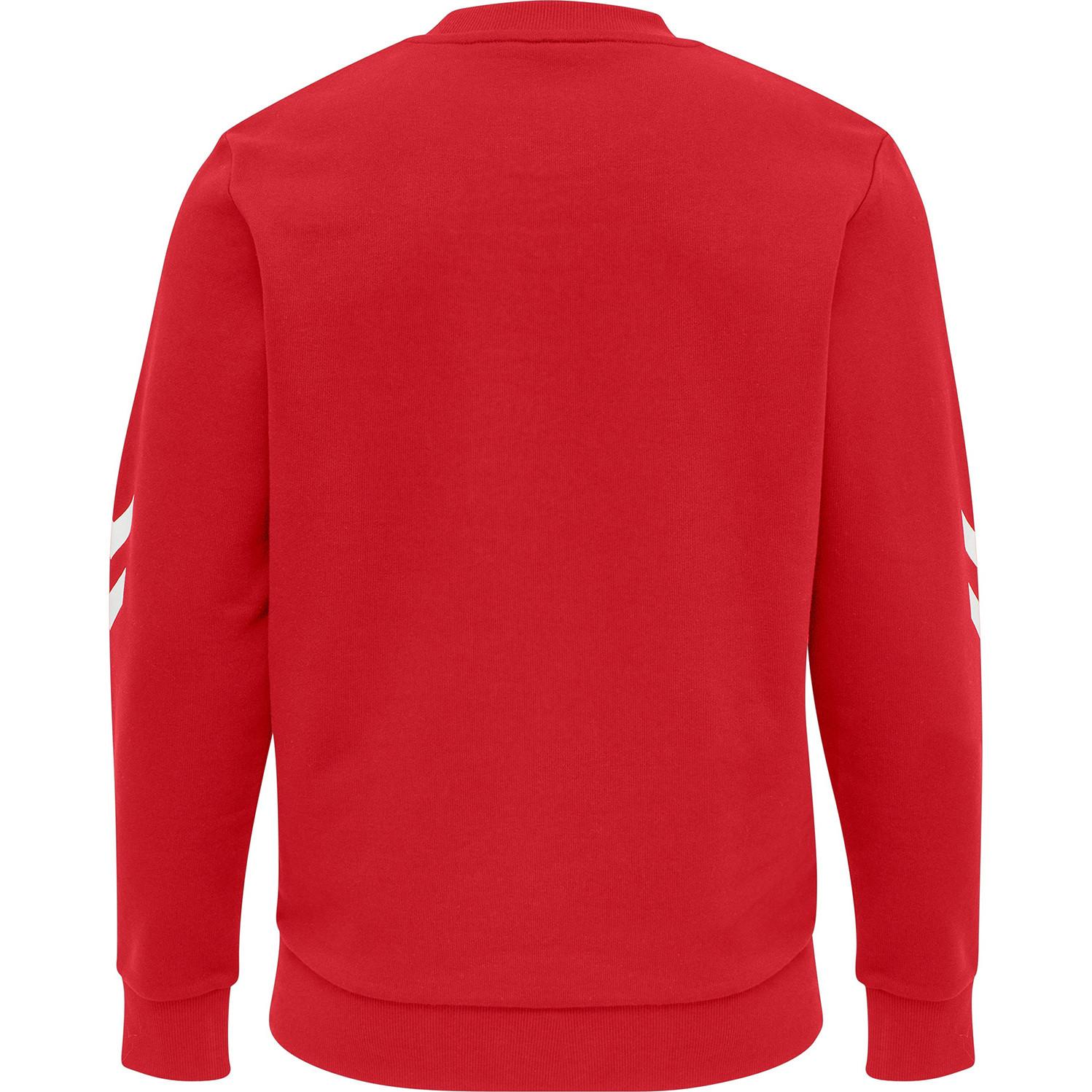 Hummel  sweatshirt hmllgc graham 