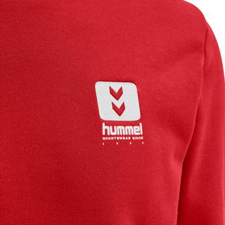 Hummel  sweatshirt hmllgc graham 