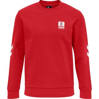 Hummel  sweatshirt hmllgc graham 