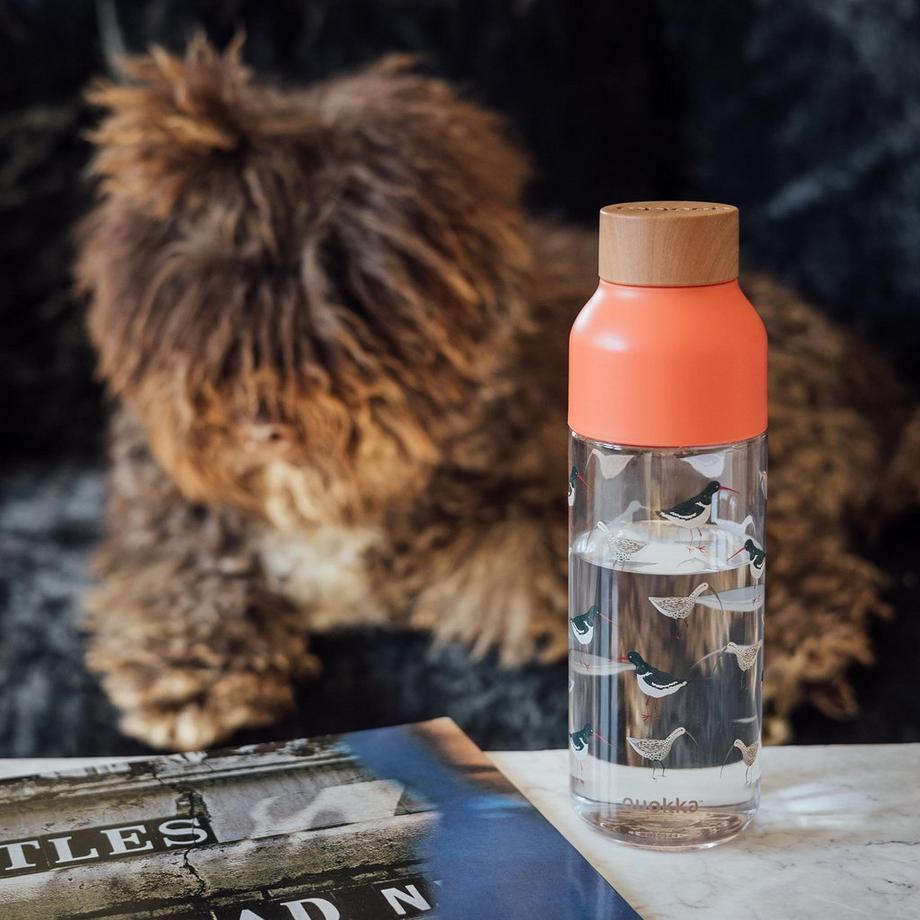 Quokka Bottiglia d'acqua Design Uccelli Capacità 720ml in Ecozen  
