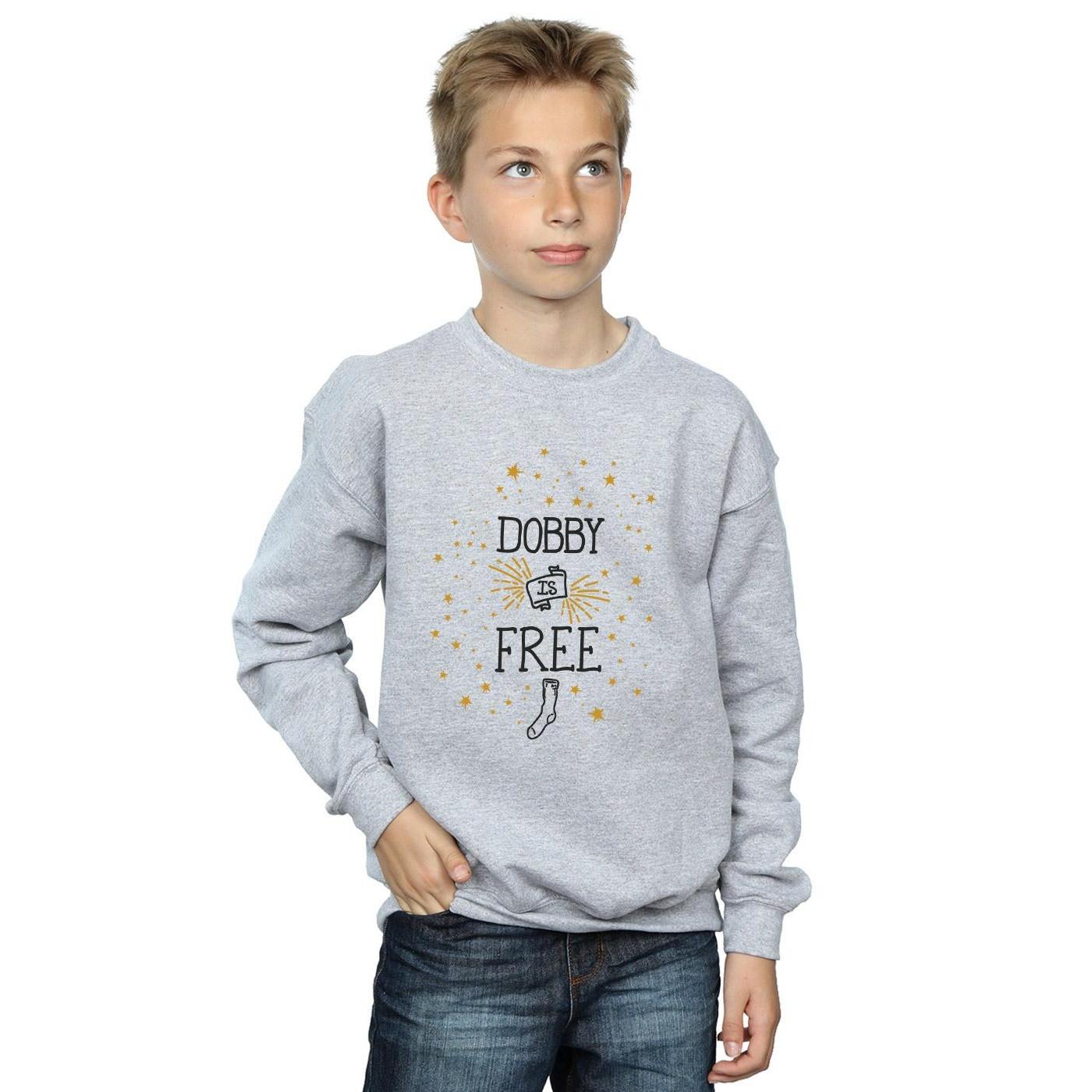 Harry Potter  Sweat DOBBY IS FREE 