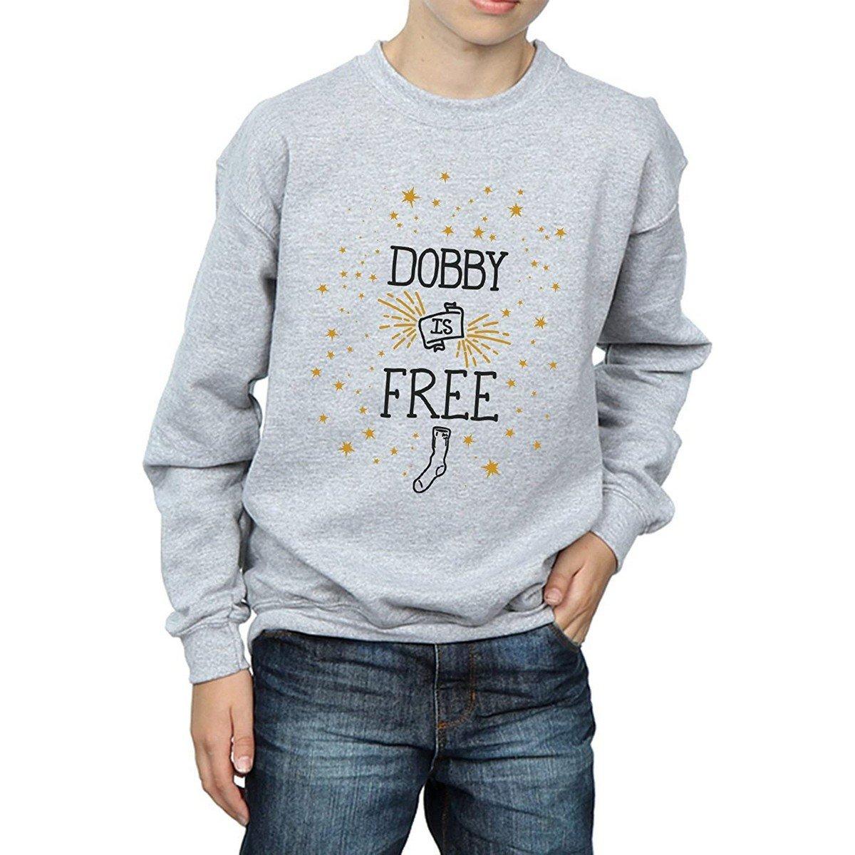 Image of Dobby Is Free Sweatshirt Unisex Grau 116