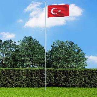 VidaXL Türkische flagge  