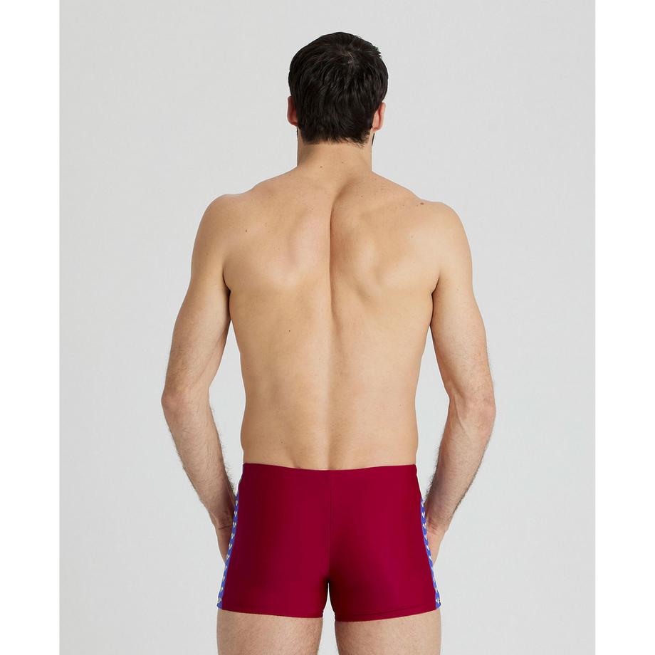 arena Icons Solid Boxer de bain  