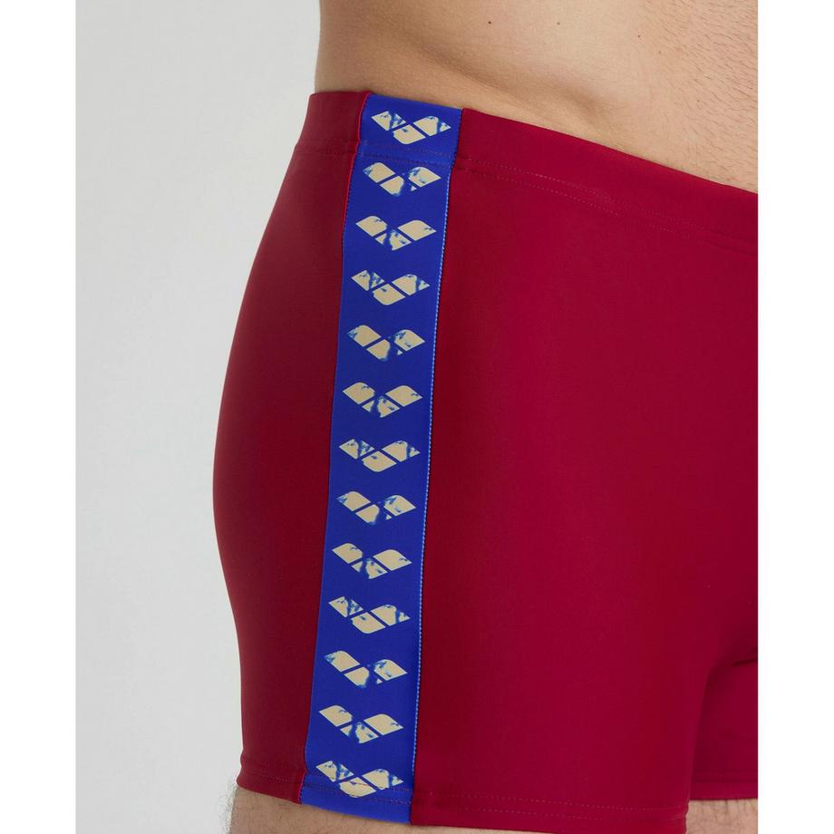 arena Icons Solid Boxer de bain  