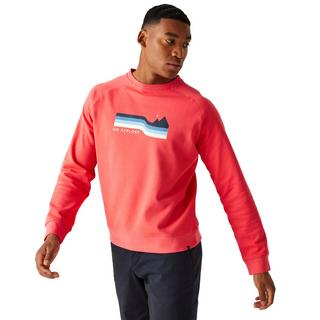 Regatta  Nithsdale Sweatshirt Rundhalsausschnitt 