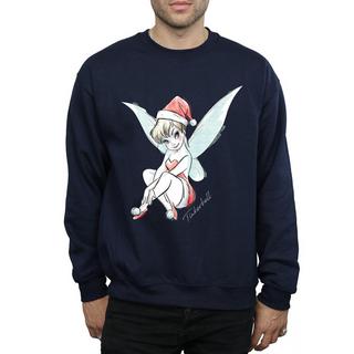 Disney  Fairy Sweatshirt 