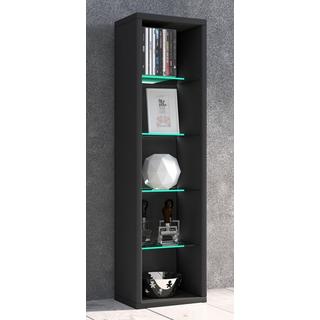 VCM Holz CD DVD Stand Aufbewahrung Standregal Bücherregal Deko Regal Glas Rasato  