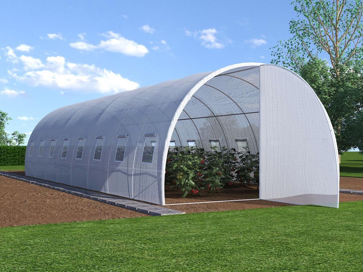 Image of Foliengewächshaus mit Stahlrahmen und Tür - 24 m² - 300 x 800 x 200 cm - ALOCASIA Foliengewächshaus mit Stahlrahmen und Tür - 24 m² - 300 x 800 x 200 cm - ALOCASIA