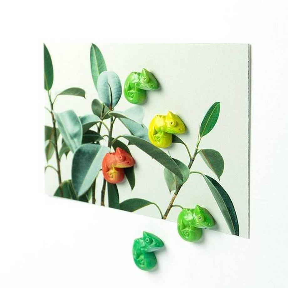 trendform Aimants CHAMELEON set de 5  
