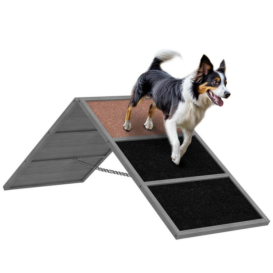Hunde Agility Steg