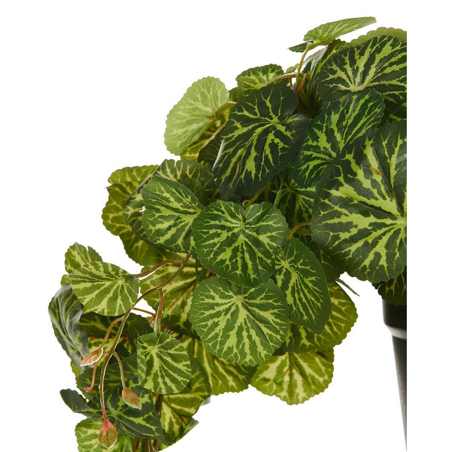 Beliani Pianta artificiale sospesa in vaso en Materiale sintetico  STRAWBERRY BEGONIA  