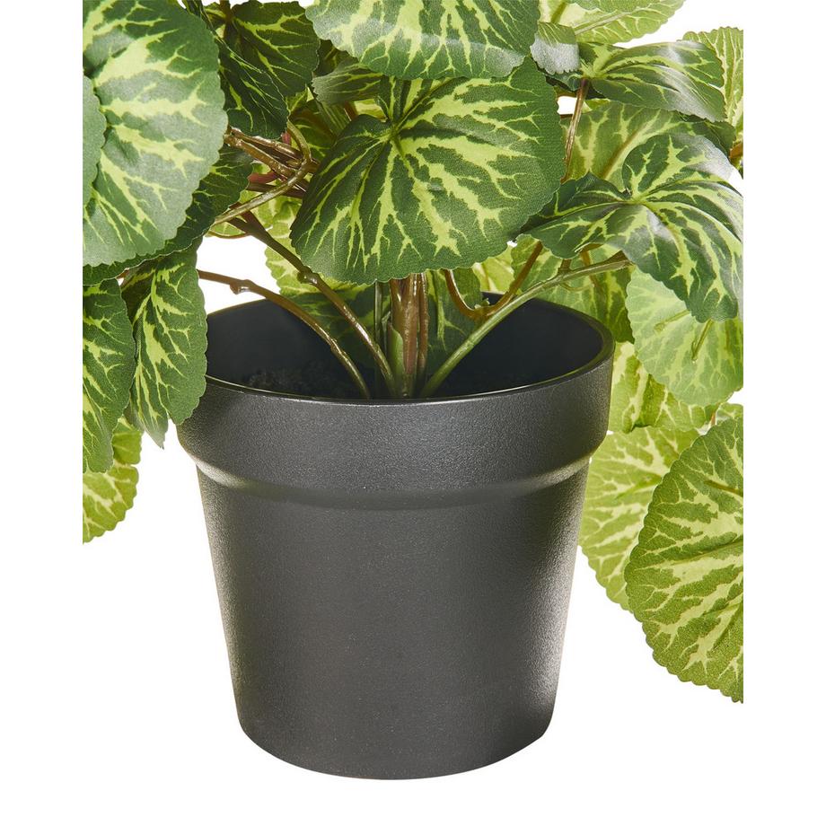 Beliani Pianta artificiale sospesa in vaso en Materiale sintetico  STRAWBERRY BEGONIA  