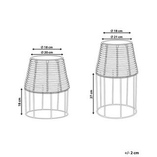 Beliani Lot de 2 pots de fleurs en Polyrotin Rustique BORAGO  